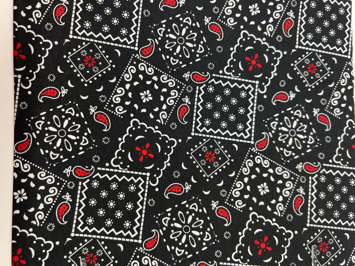 Black and Red Bandana