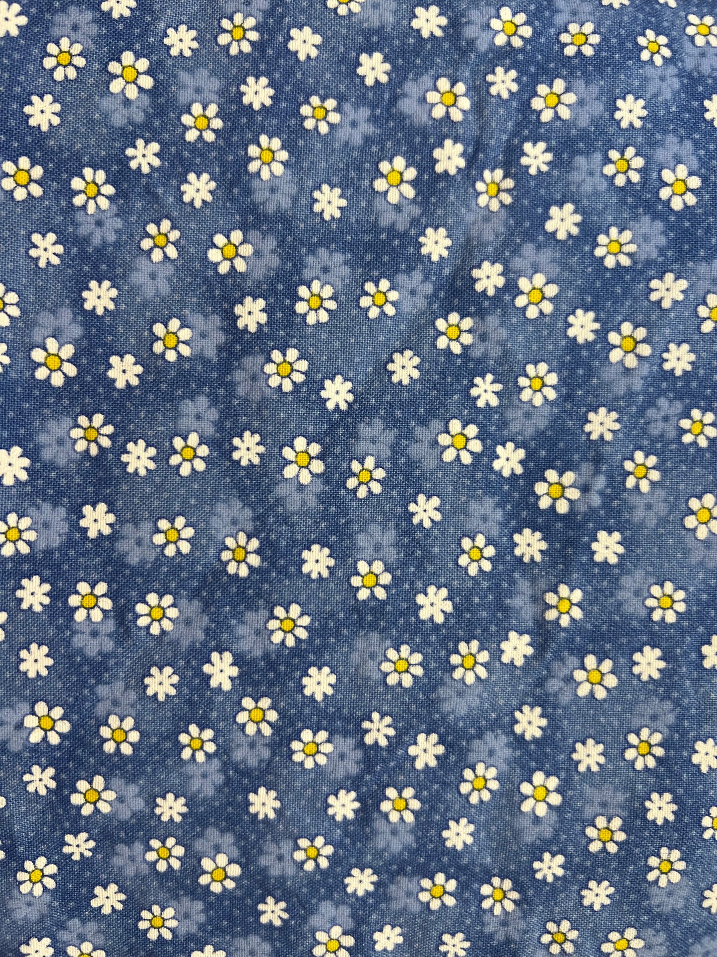 Blue and White Flowers