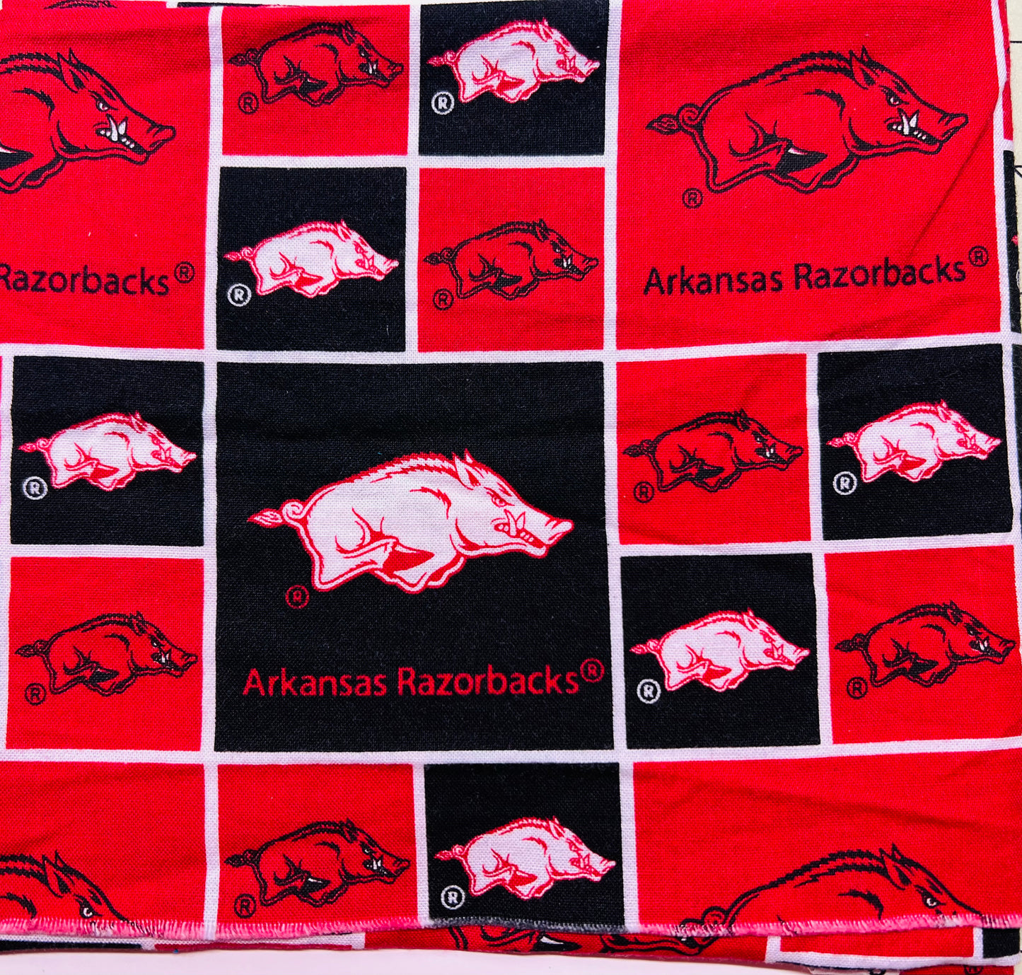 Arkansas Razorbacks with Squares