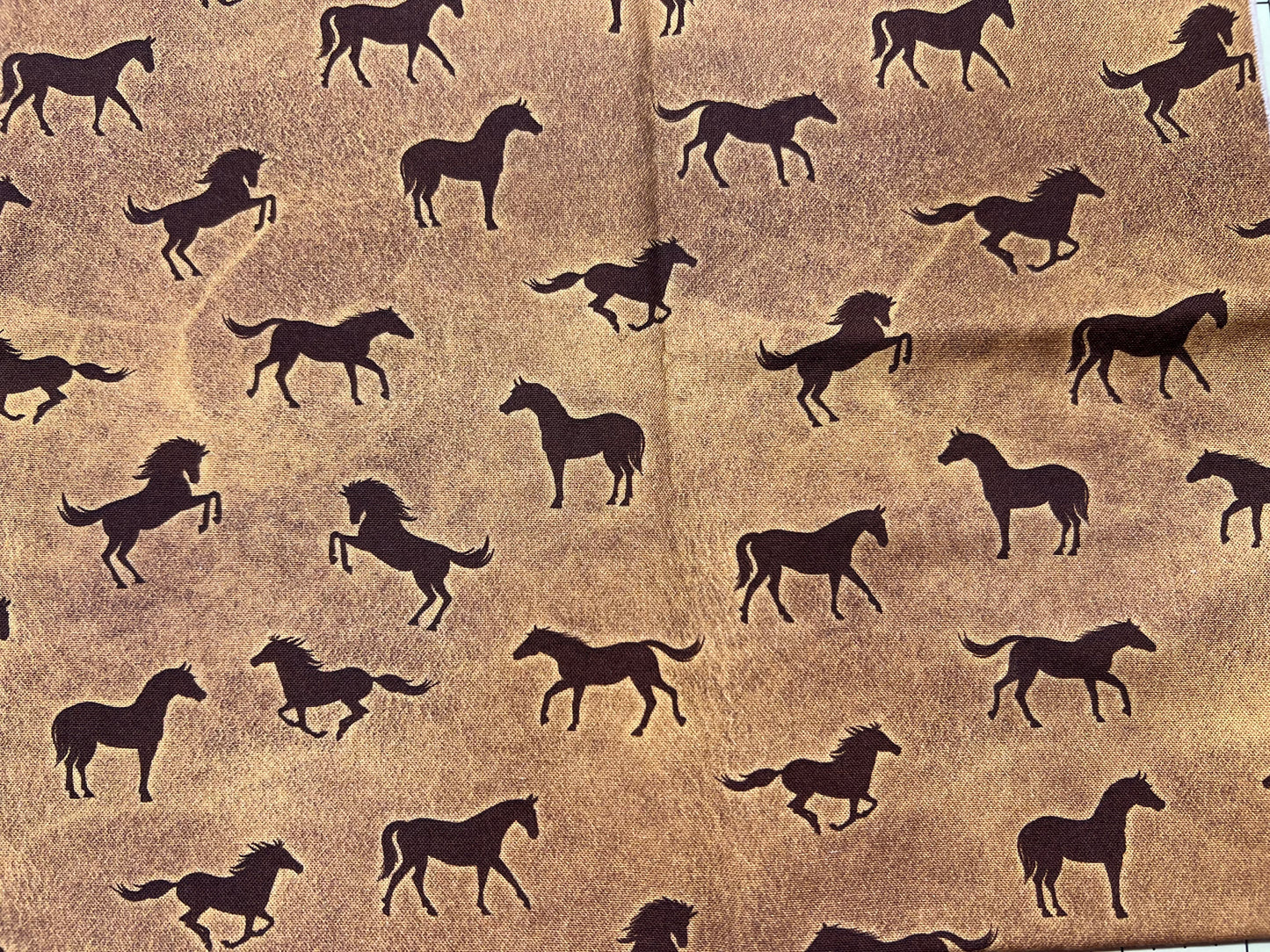 Western Brown Horses