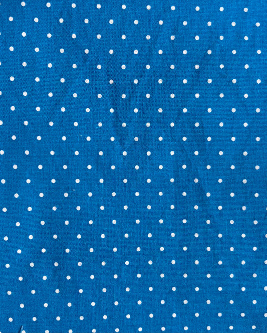 Small Blue Polka Dots