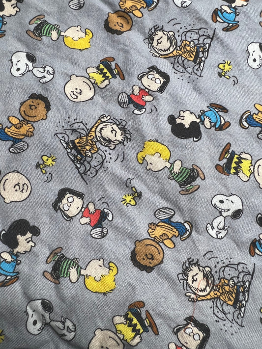 Charlie Brown and the Peanuts