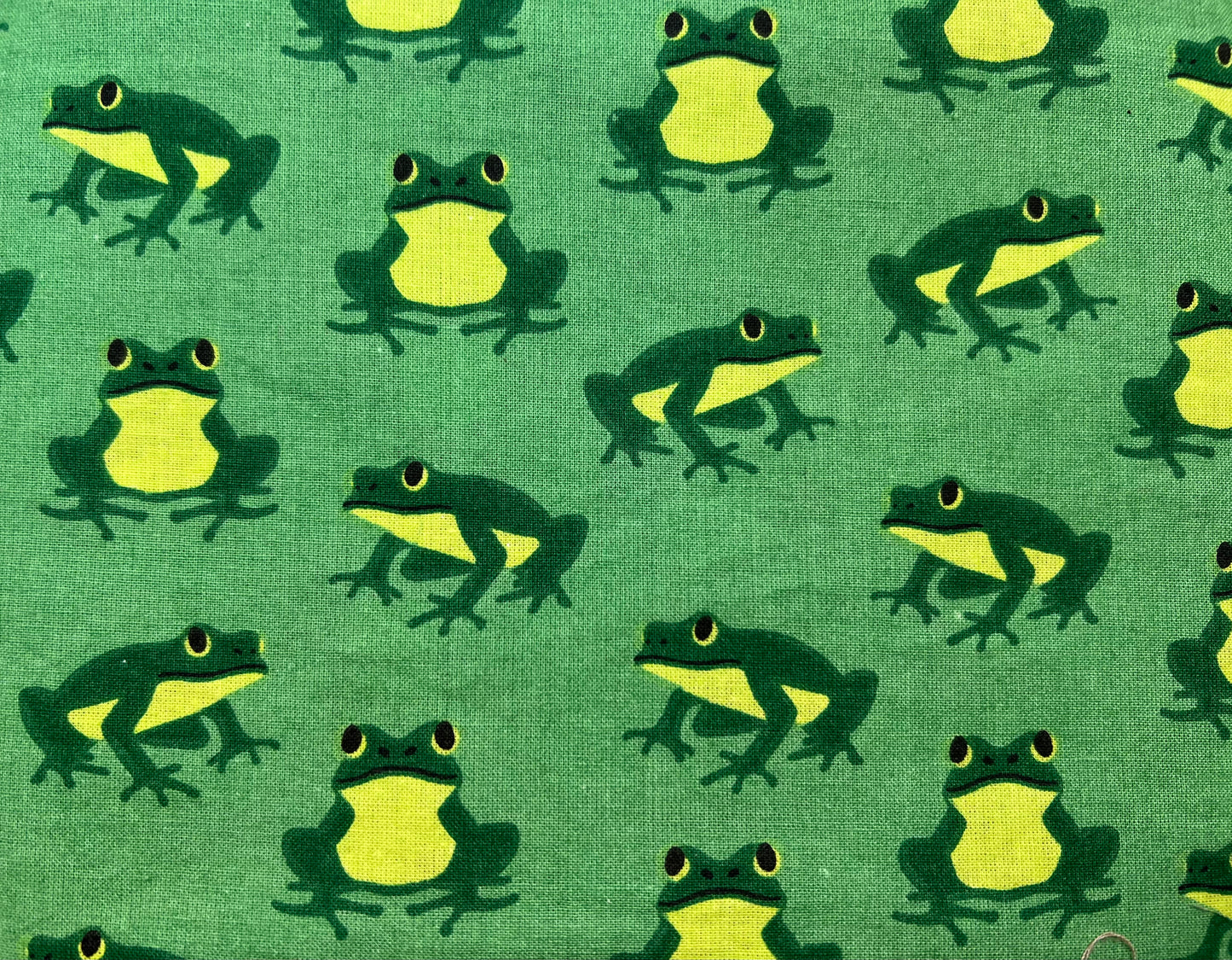 Sitting Frogs