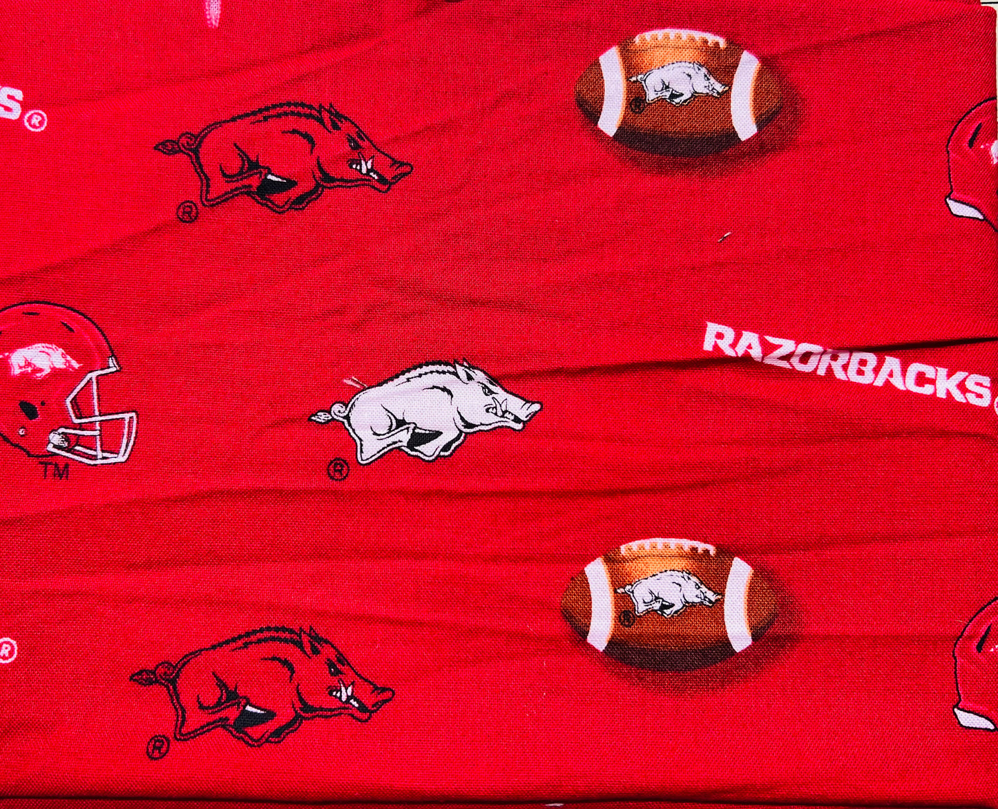 Arkansas Razorback with hogs and ftball