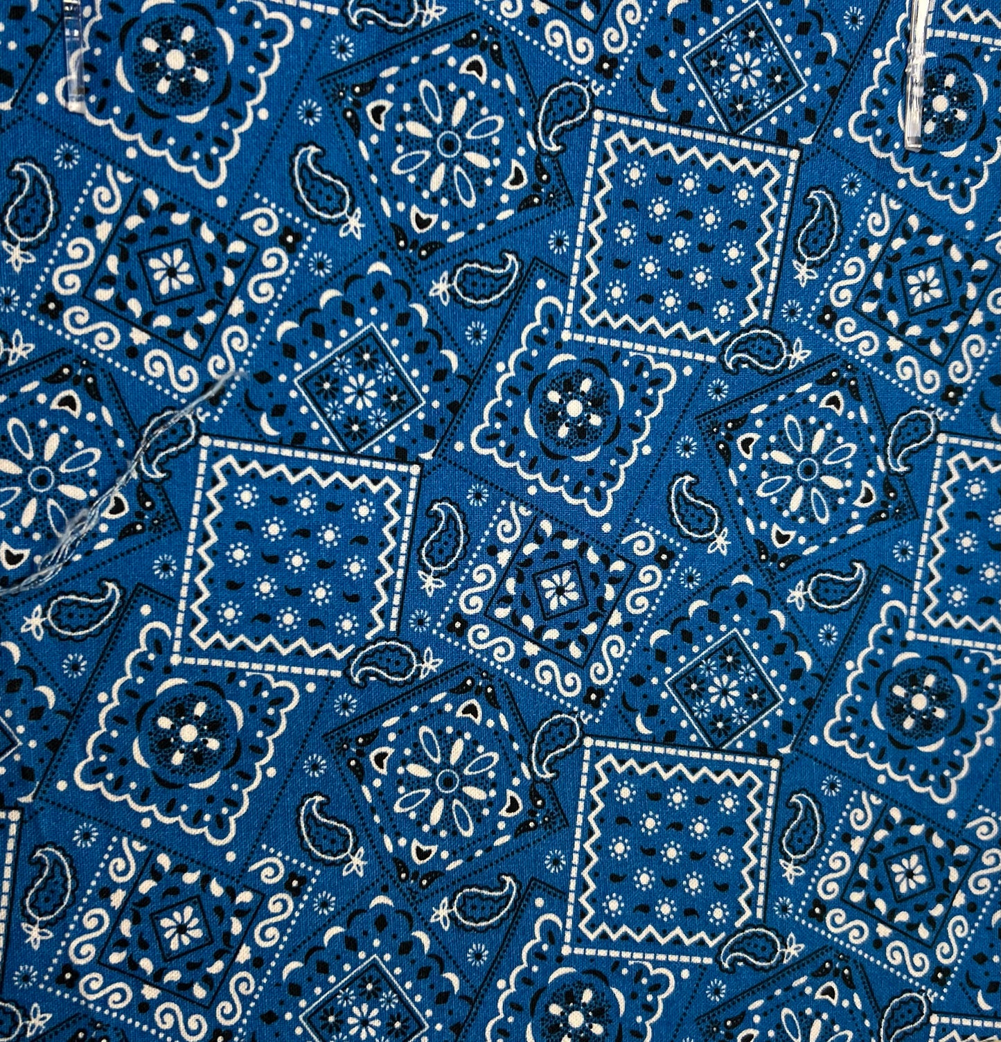 Medium Blue Bandana
