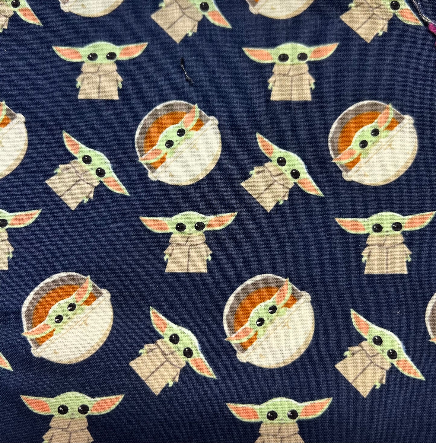 The Child in Mandalorian